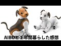 AIBOと1年暮らしてみた結果!!!!