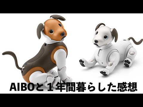 aibo アイボ   ERS-1000 ロボット犬 SONY aibo ERS-1000 [Ivory White] 価格比較 - 価格.com