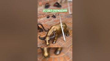 Trâu đồng #dodong #dodongmynghe #covat #phongthuy