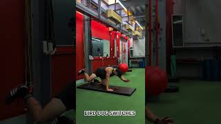 BIRD DOG SWITCHES #gymexercises #urbanfitness #uflibrary #discipline