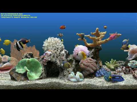 Sachs Marine Aquarium 3 Beta HD