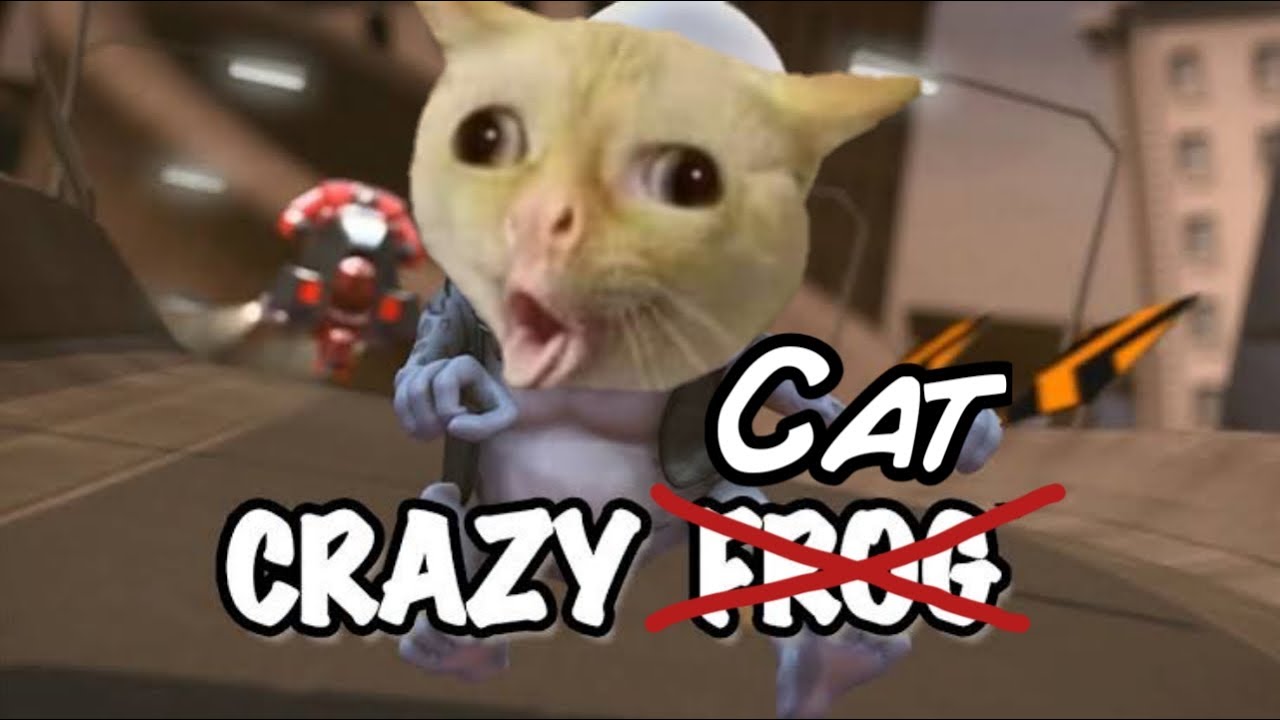 I put Cats to Crazy Frog (Axel F) - YouTube