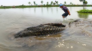 Best Fishing !  A fisher man catch mud fishes under soft ground at lake meets Giant hard skin fishes screenshot 5