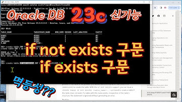 Oracle 23c 신기능 - DDL with if not exists 구문
