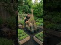 This Homegrown Tomato Garden Is Wildly Satisfying to Watch 🍅🌿
