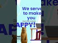 Understand Customer Service From Scratch