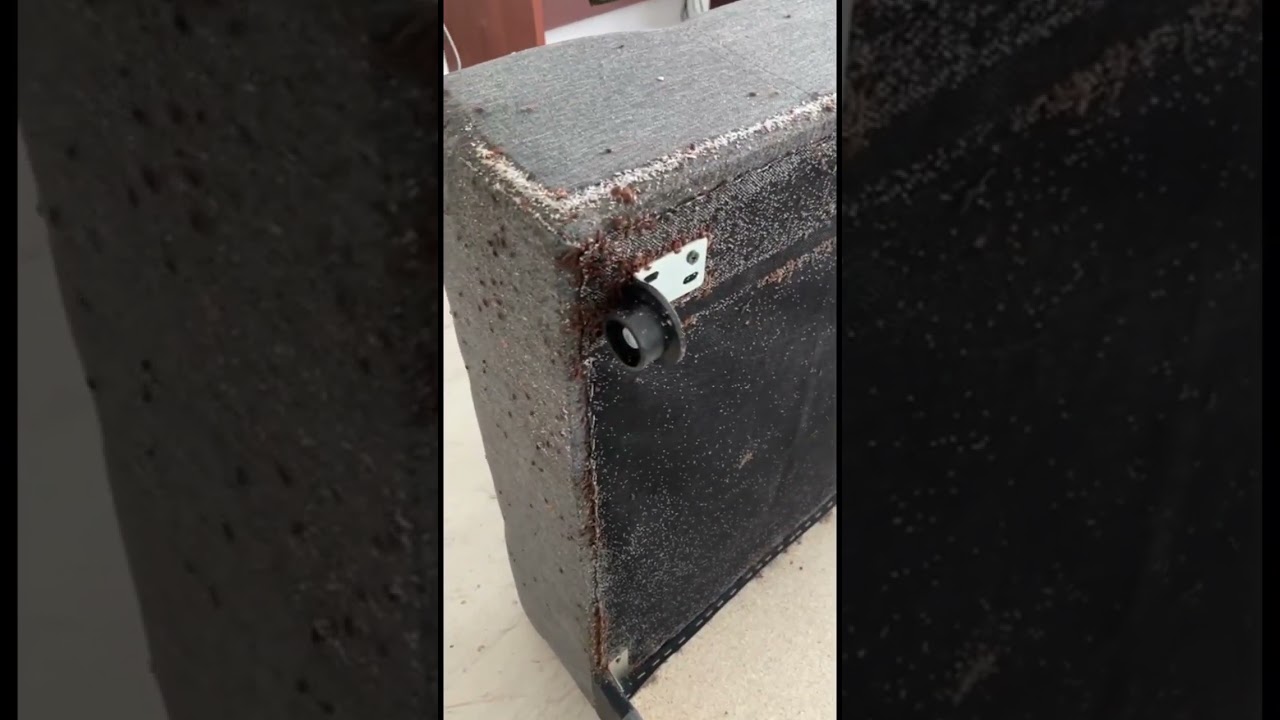 Самая зараженная квартира с клопами за 10 лет работы дезинфектором