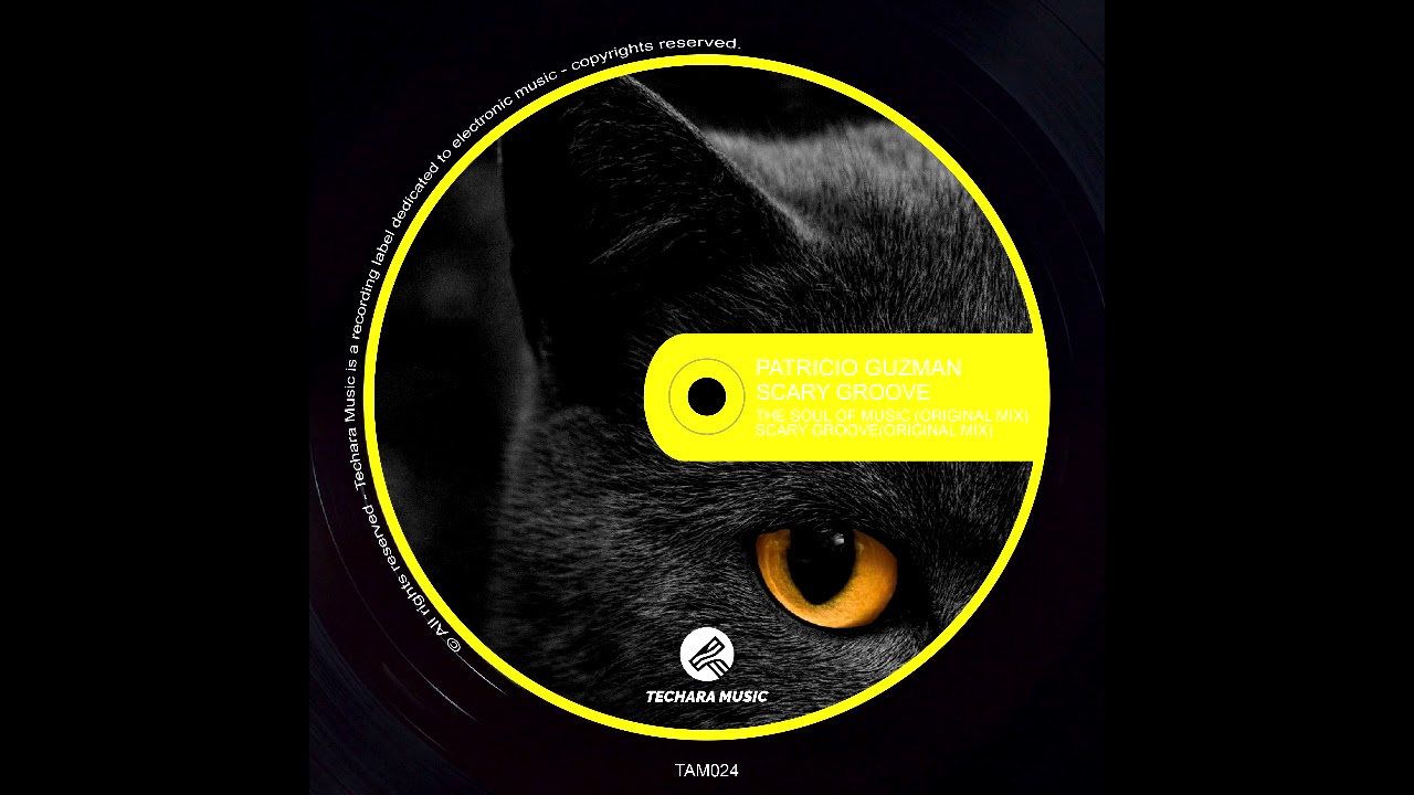 Patricio Guzman - The Soul of Music (Original Mix)