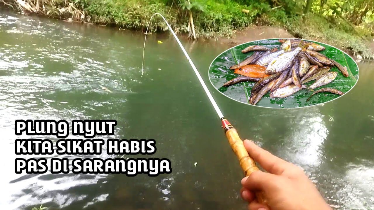 ARUS DERAS JADI SARANG IKAN!! Mancing di sungai strike tanpa jeda