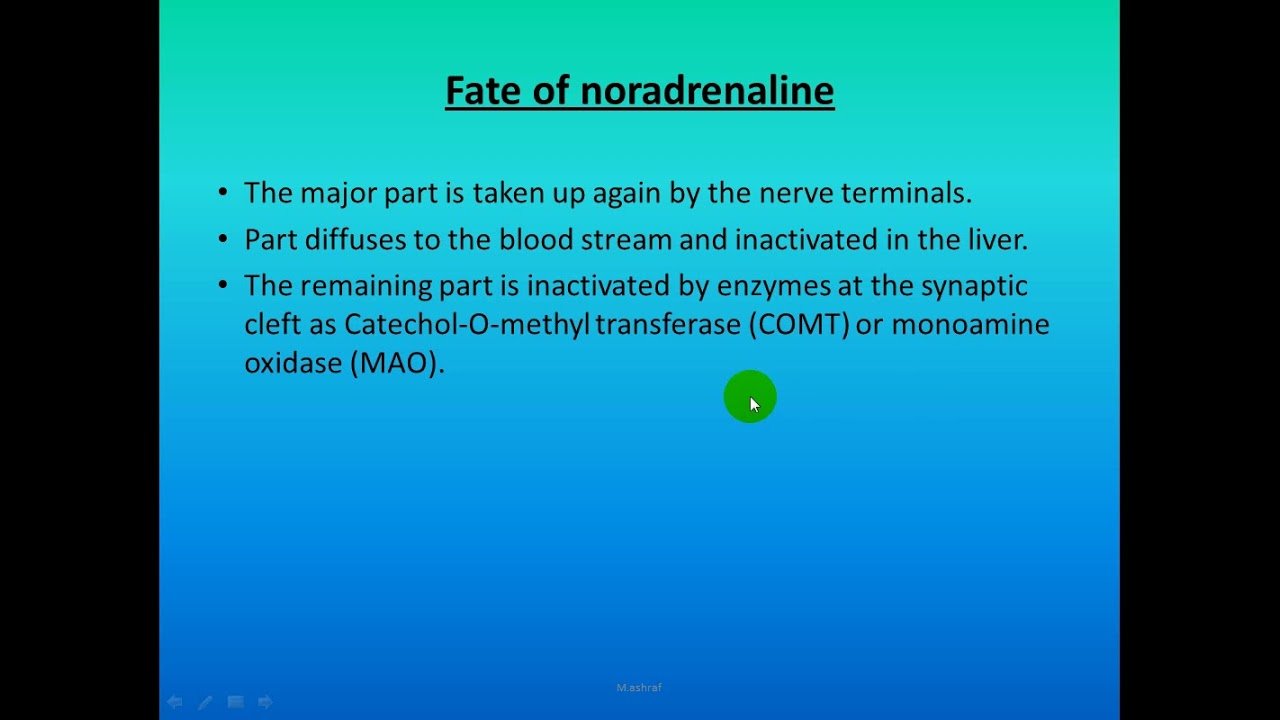 3rd Lecture of ANS and answers of students questions - By Dr.Mohamed Ashraf
