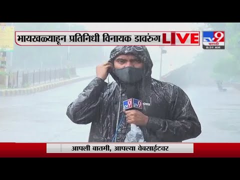 Mumbai Rain Update | मुंबई-उपनगरात जोरदार पावसाची हजेरी, भायखळ्याहून थेट LIVE - TV9