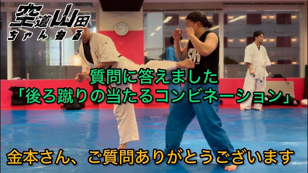 【武道】質問に答えました「後ろ蹴りコンビネーション」【格闘技】