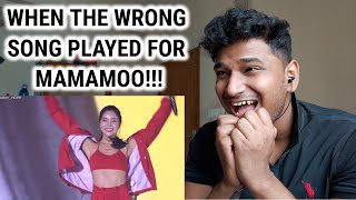 Mamamoo reaction  When The Wrong Song Played For Mamamoo