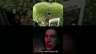 #9gag #random