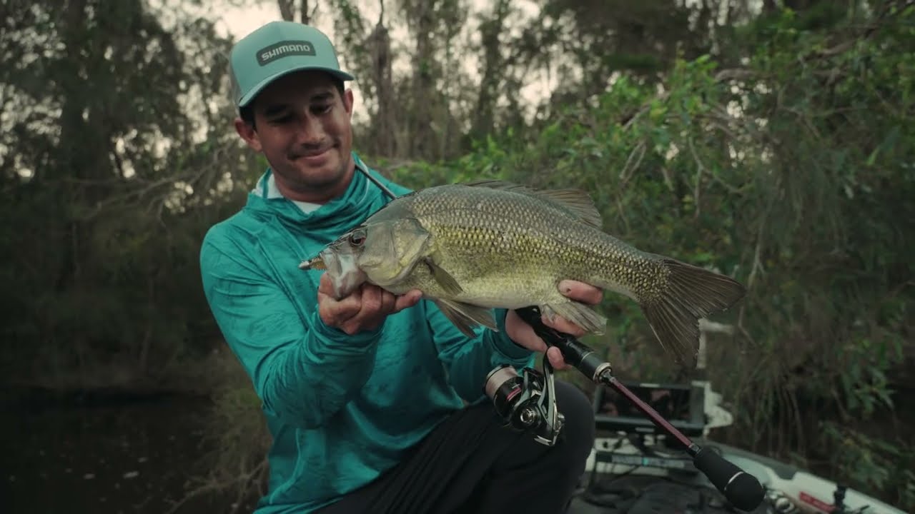 All-New Shimano Artiesta: Crafted for Precision, Strength and Versatility!