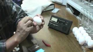 How to Make an Egg Ocarina