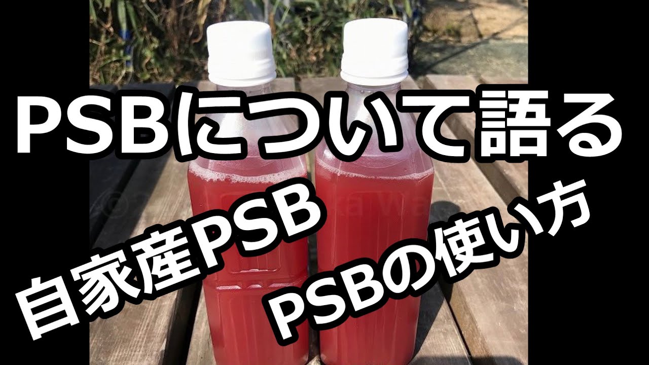 psb の 使い方