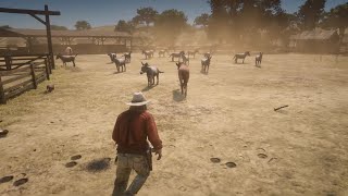 Going wild with Micah ( Hunting donkeys and mules)