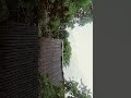 nature#rain #rainsounds