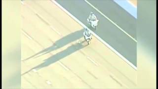 Highway Police Officer Chases Dog On Freeway Bennyhill Edition