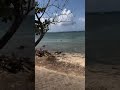 Jangan ditonton !! Ada penampakan