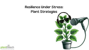 Fighting Drought: Top Phenotyping Tools in Action | Episode 2