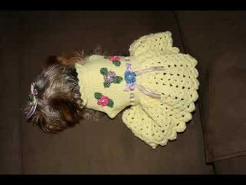 FREE Dog Clothing Patterns for Winter | Way Cool Dogs!