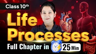 Famous Life Processes Class 10 Science Biology | Complete Chapter in 25 Minutes | ALLEN Online Net Worth