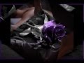 Alicia Villareal - La que baje la guardia - LETRA.