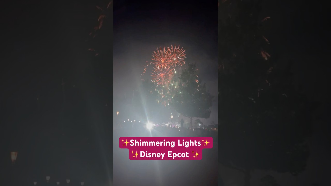 ✨Shimemring lights✨2025✨ 