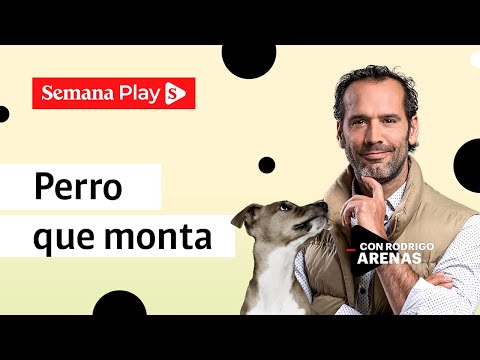 Evita que tu perro monte tus piernas | Rodrigo Arenas en EduCANdo Manadas