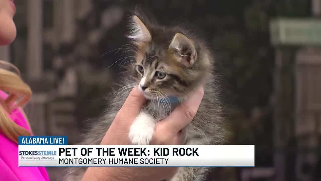 Pet of the Week: Kid Rock - YouTube