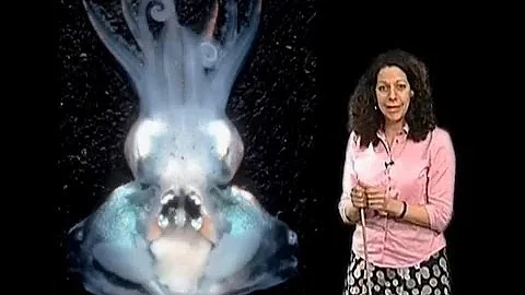 Bonnie Bassler (Princeton) Part 1: Bacterial Commu...