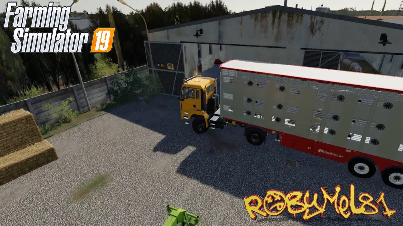 FS19 - Italian Rice - Serie Italiana - 51 - Vendita dei Maiali - YouTube
