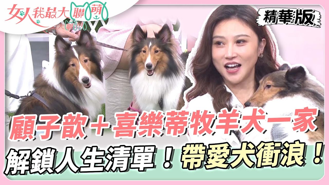顧子歆＋喜樂蒂牧羊犬一家！解鎖人生清單！帶著愛犬去衝浪！女人我最大 20230821
