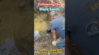 Following the Black Sands to the Gold #goldmining #mining #gold #prospecting #goldprospecting