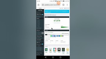 Paidera.com quiz editor review full explain