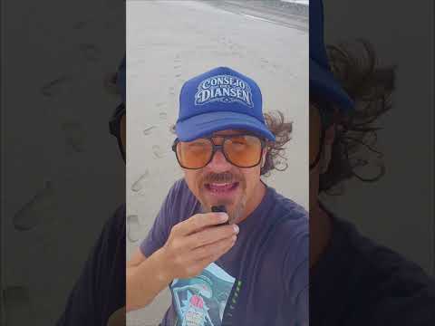 Consejo del diansen EL HORIZONTE SEN