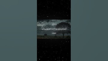 سورة الطور|35-40|القارئ:#محمد_اللحيدان #قران #quran #راحة_نفسية #قران_كريم#تلاوة_هادئة ##تلاوة_خاشعة
