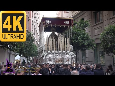 Fervorosa Hermandad Sacramental y Real Cofradía de Nazarenos del Sagrado Descendimiento de Nuestro Señor Jesucristo, Nuestra Señora del Santo Sudario y María Santísima de las Angustias