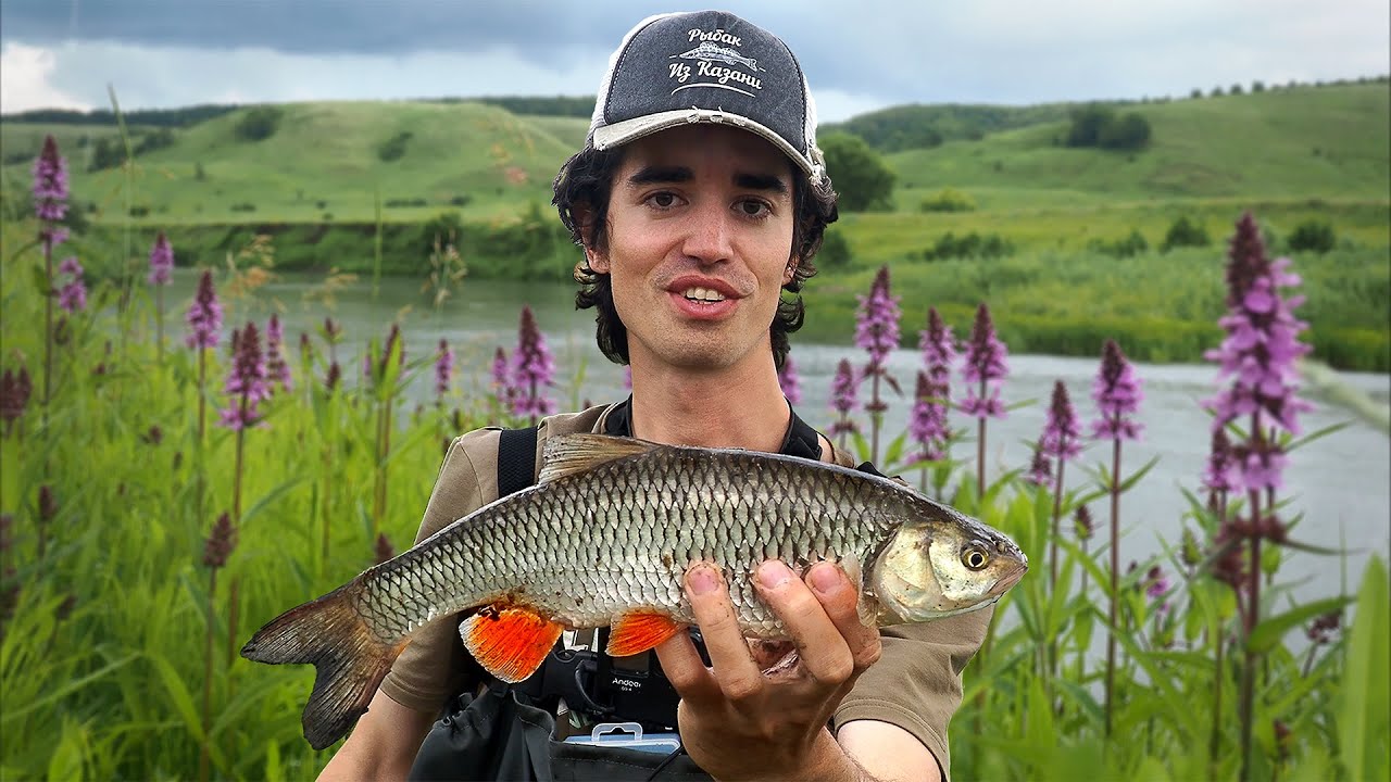 Рыбачим в ручье. Пол метра глубины, но рыба клюёт! Рыбалка на спиннинг. 