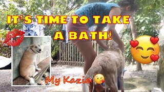 Ligo Time My Dog Kazie I Vlog