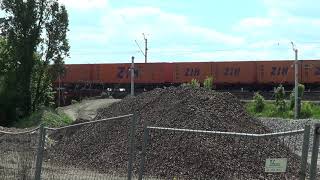 181 106-6/91 51 3150 716-1/  Sebuś ECCO Rail z składem intermodalnym