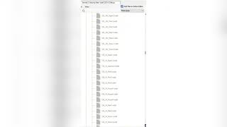 Animal Crossing New Leaf (2010 E3) - Full game folder structure