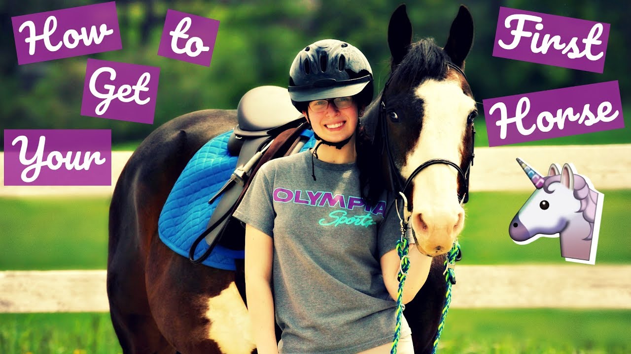 horseshoe bend Tips for Leasing or Buying Your First Horse || Eastern Equestrian ||