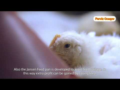 Video: Ülkede Kümes Hayvanları Tutmak