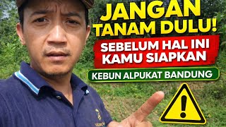 Kebun Alpukat Premium dan Durian Episode 02 Montaza Land Bandung Hal Yang Harus dipersiapkan