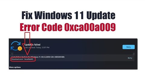 Fix Windows 11 Update Error Code 0xca00a009