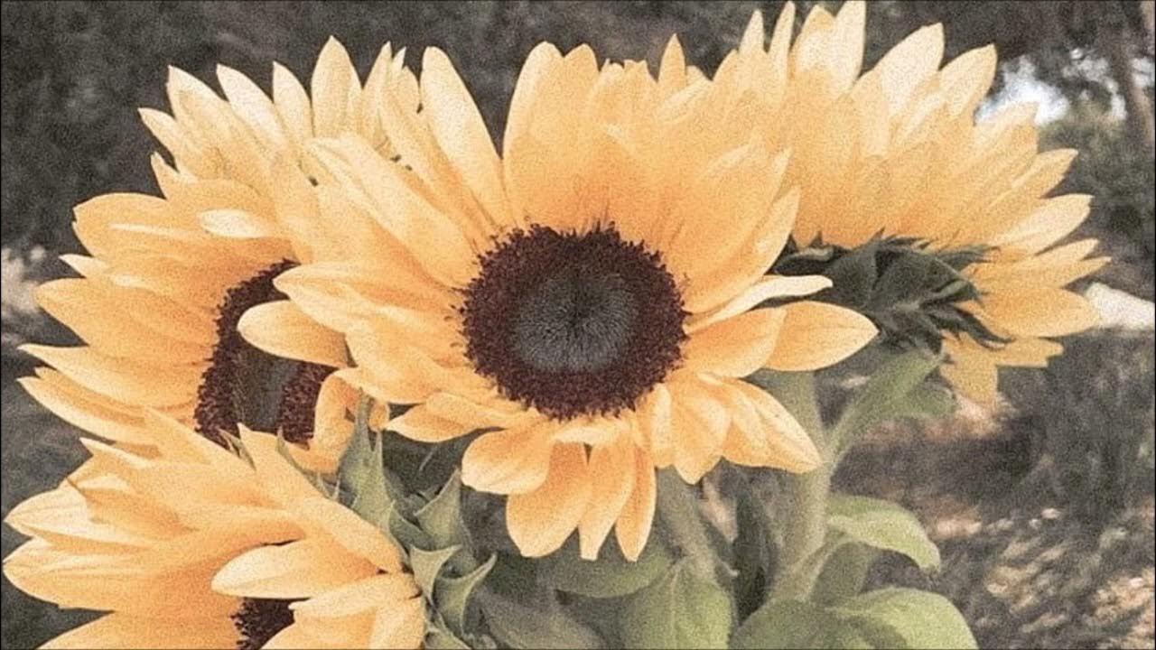 [free for profit] sad electric guitar type beat no drums / instrumental