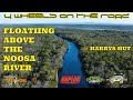 Floating Above The Noosa River @ Harrys Hut #shorts